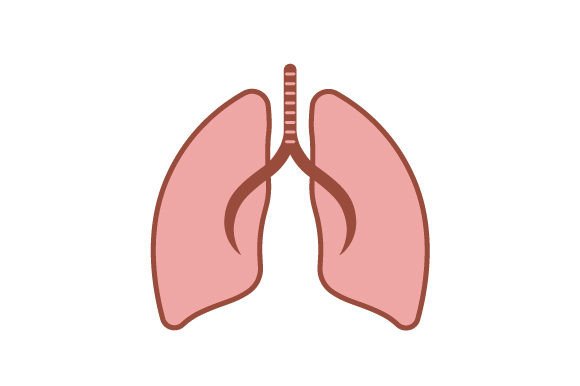 Lung - Sticker: A Practical Embroidery Review