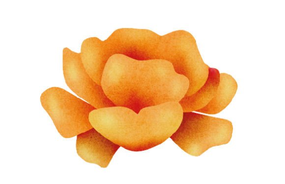 Spring Flower, Sticker Style, Watercolor